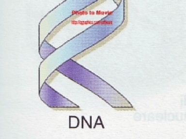 460>_892056